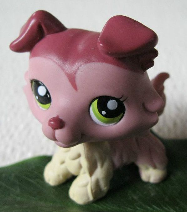 Littlest Pet Shop CLEVER COLLIE DOG, GREEN EYES #1723  