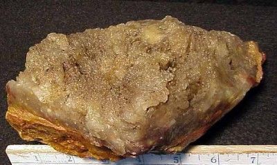 ORCA Terrific Carey Plume Agate Rough 1 Pound 3 Ounces, Oregon