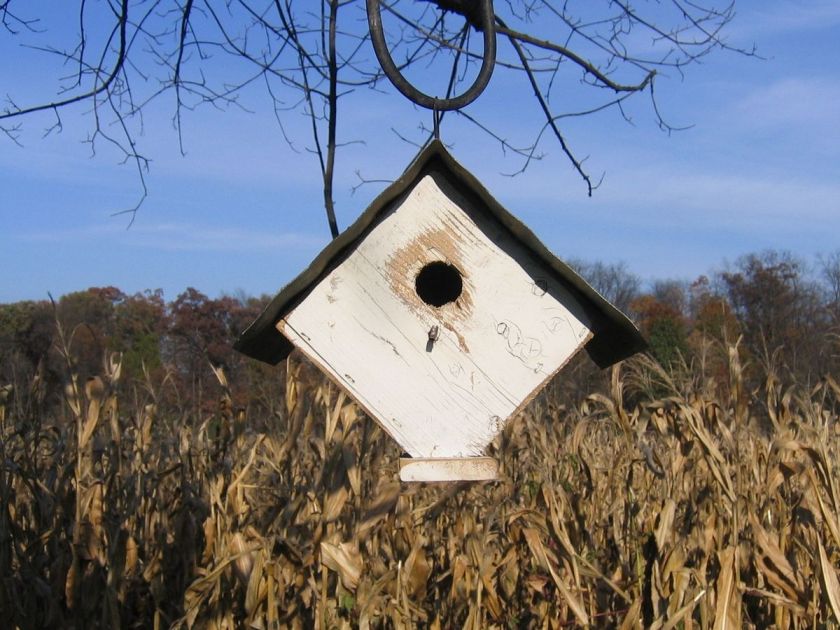 Wonderful Birdhouse, Amish Made, White Wren Bird House, New  