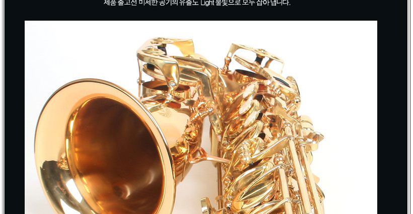 NEW ALTO SAXOPHONE Gold Plated SAX W/5 YEARS WARRANTY+Gift($39 Stand+$ 