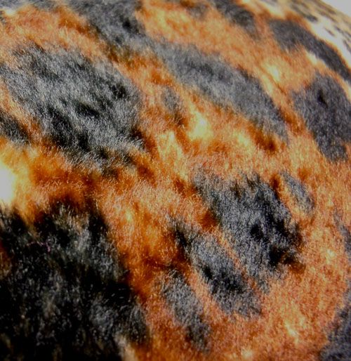 CF10 FAUX FUR LEOPARD SKIN PILLOW CUSHION COVER*CUSTOM  