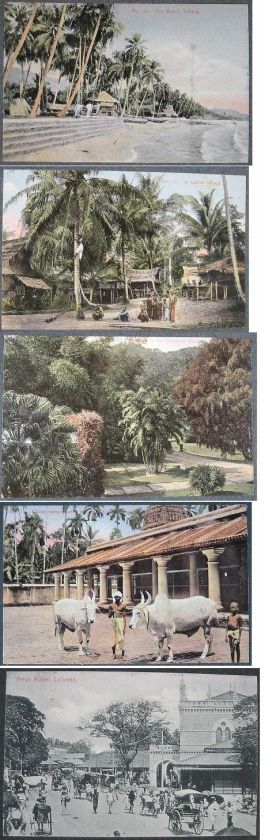 1900s~Album~Singapore~Penang~Ceylon~Johore  