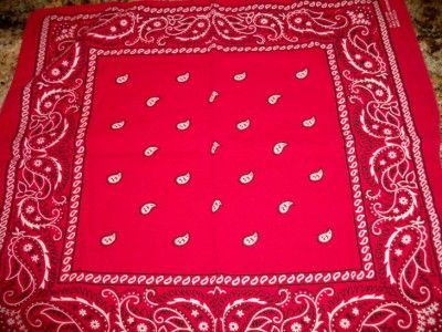 Fast Color USA Red Paisley Bandana RN 13960  