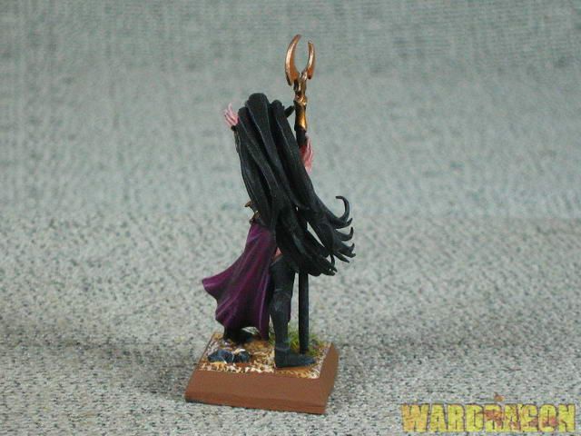 25mm Warhammer WDS Pro painted Dark Elf Sorceress r78  