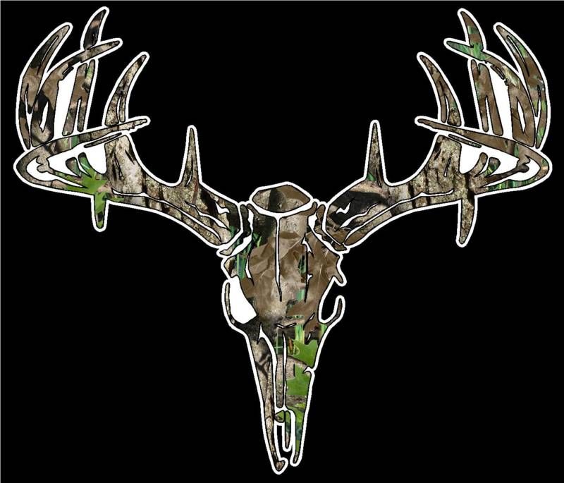 Camo Deer Skull S4 Vinyl Sticker Decal Hunting Big Buck whitetail 