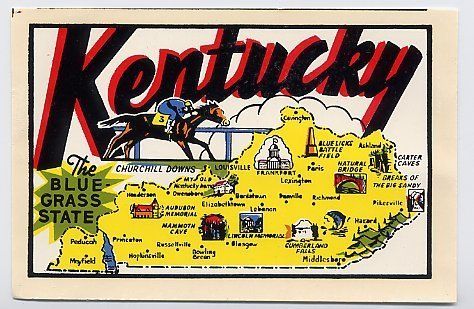 VINTAGE KENTUCKY BLUEGRASS STATE MAP SOUVENIR LUGGAGE TRAVEL WATER 